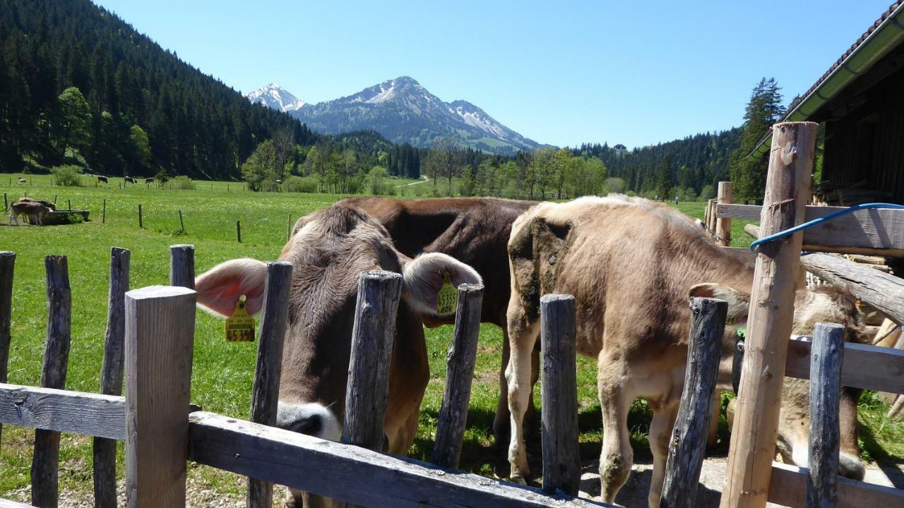 Fw Weissensee *